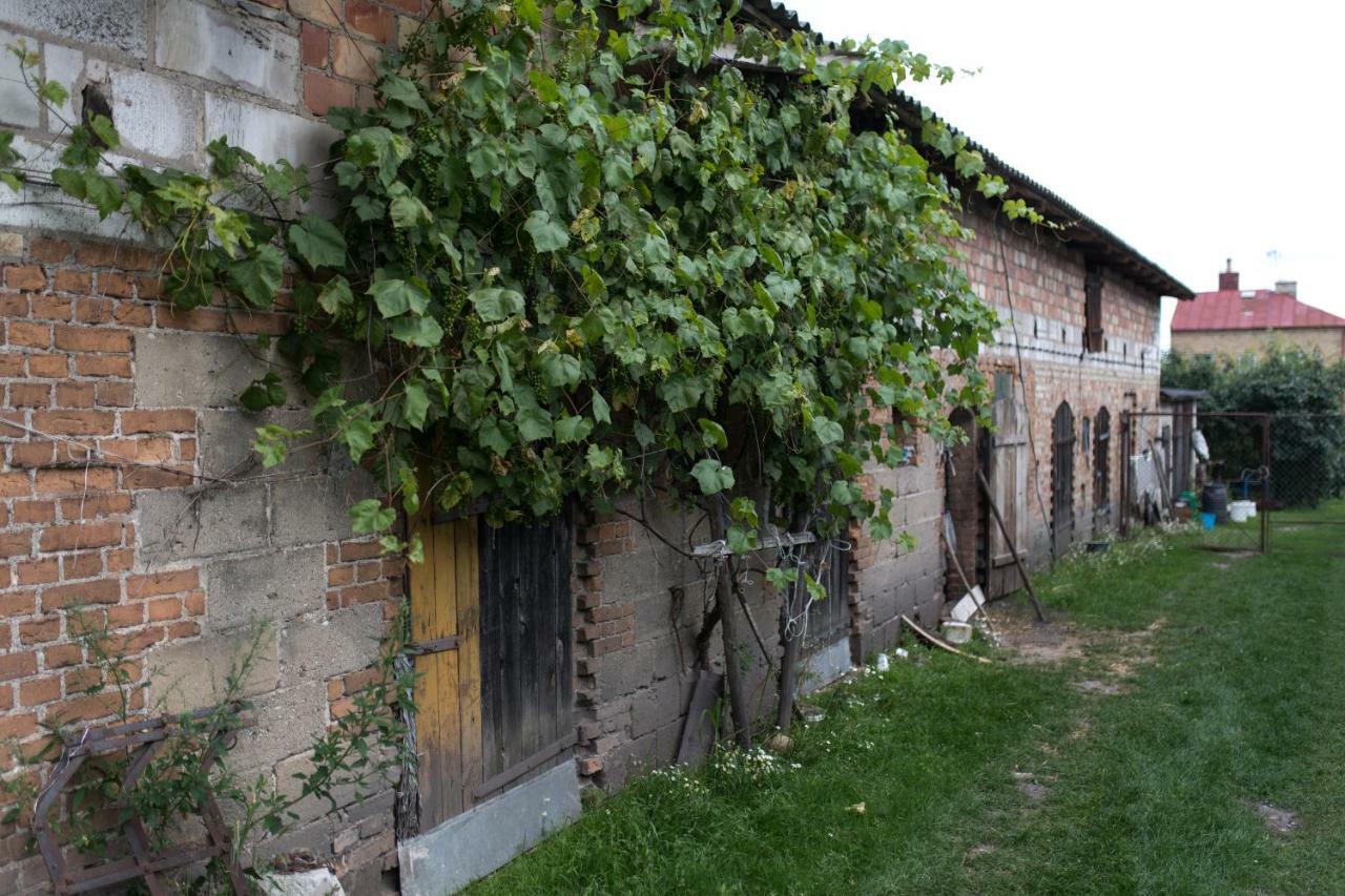 Agroturystyka Karpinscy Wizna Extérieur photo